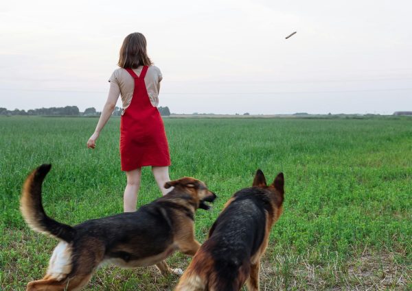 pexels-thirdman-8942936